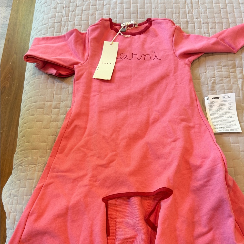 Marni Pink Dress with Red Accents